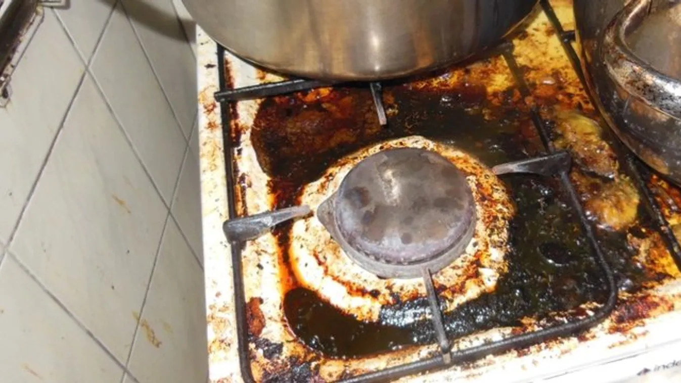 Illegális konyhát függesztett fel a Nébih Zuglóban – videó