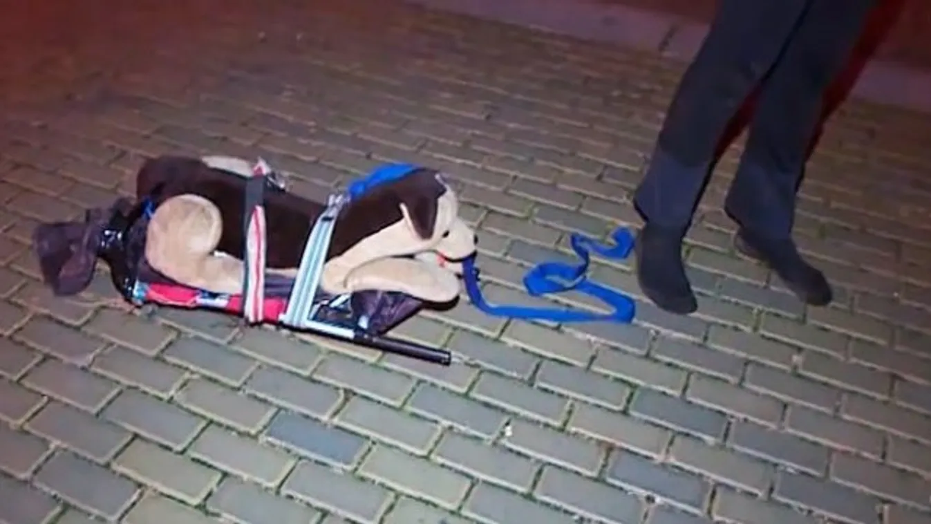 Plüsskutyával akarta kijátszani a kijárási tilalmat egy cseh férfi – videó