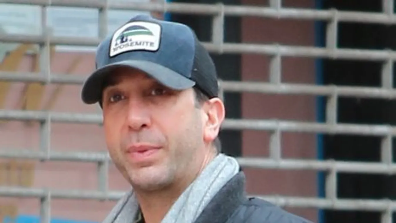David Schwimmer most éppen egyedül él