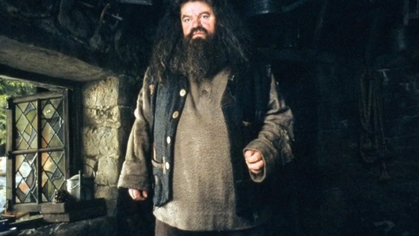 A Harry Potter Hagridja kerekesszékbe kényszerült a betegsége miatt