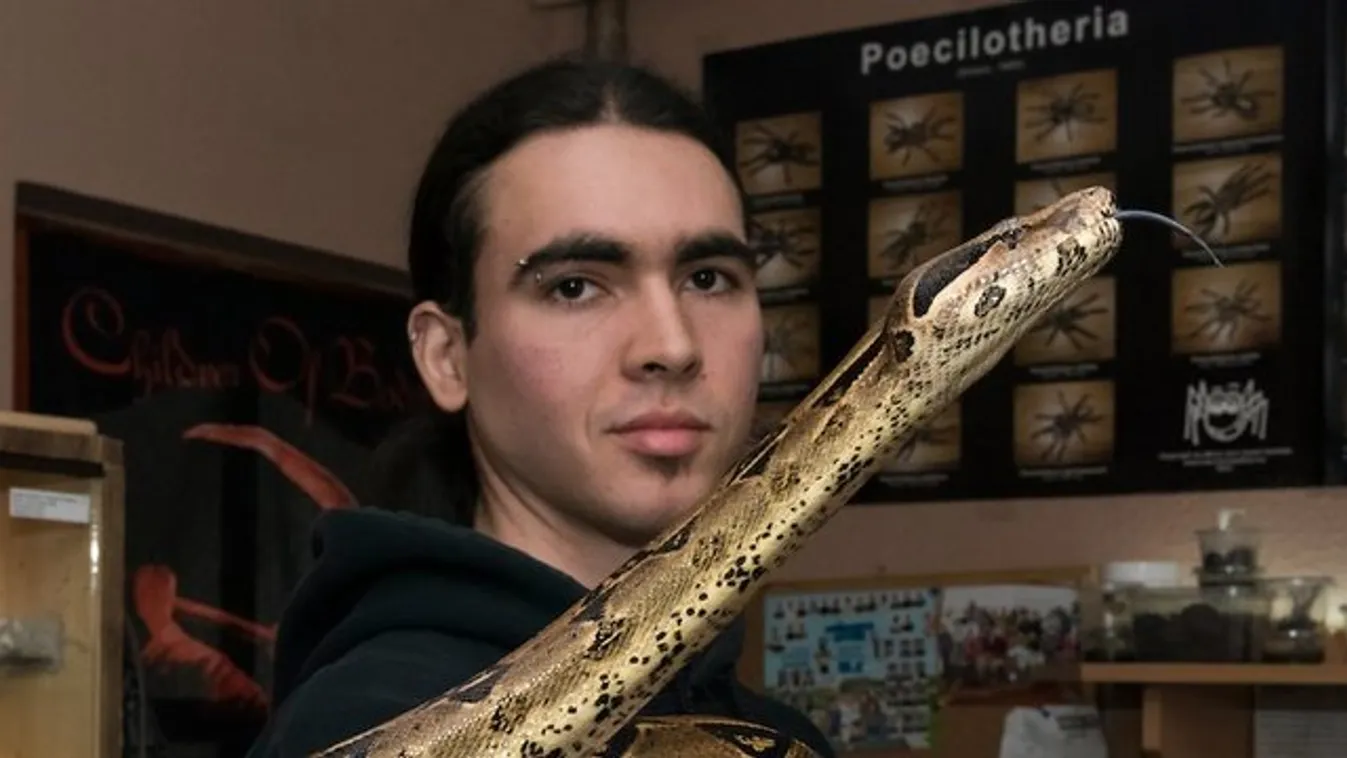 Póksereggel és kígyókkal osztozik a szobáján Attila