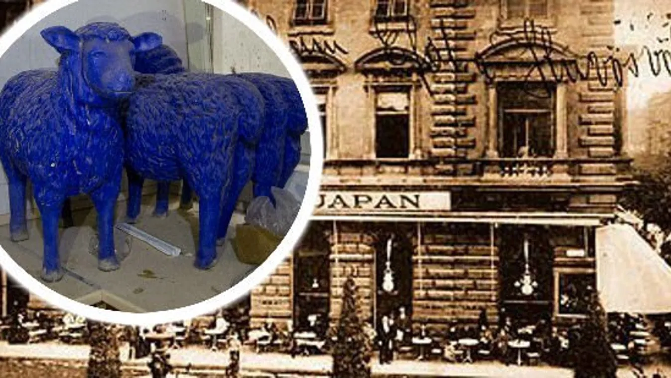 Feltáratlan kincseket rejt az egykori Japán Kávéház