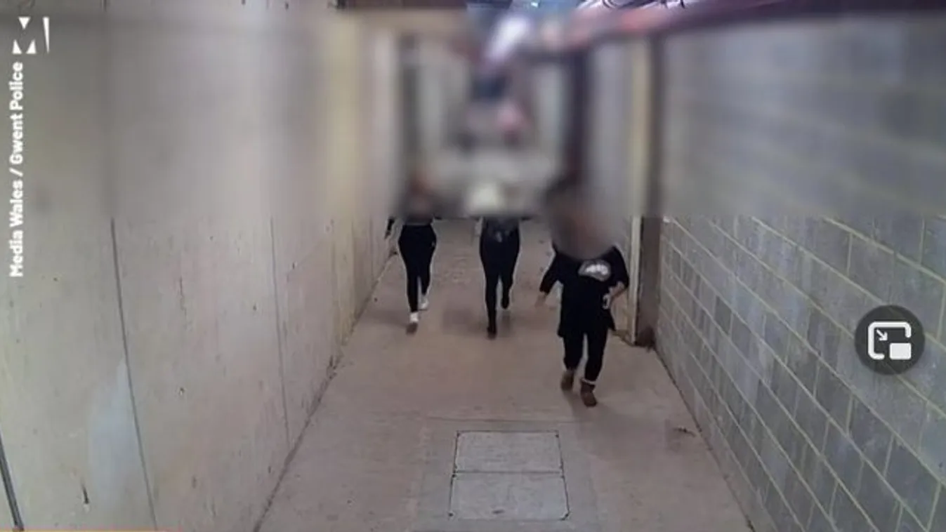 Mókás videón, ahogy nyolcan menekülnek egy illegális fodrászból a rendőrök elől