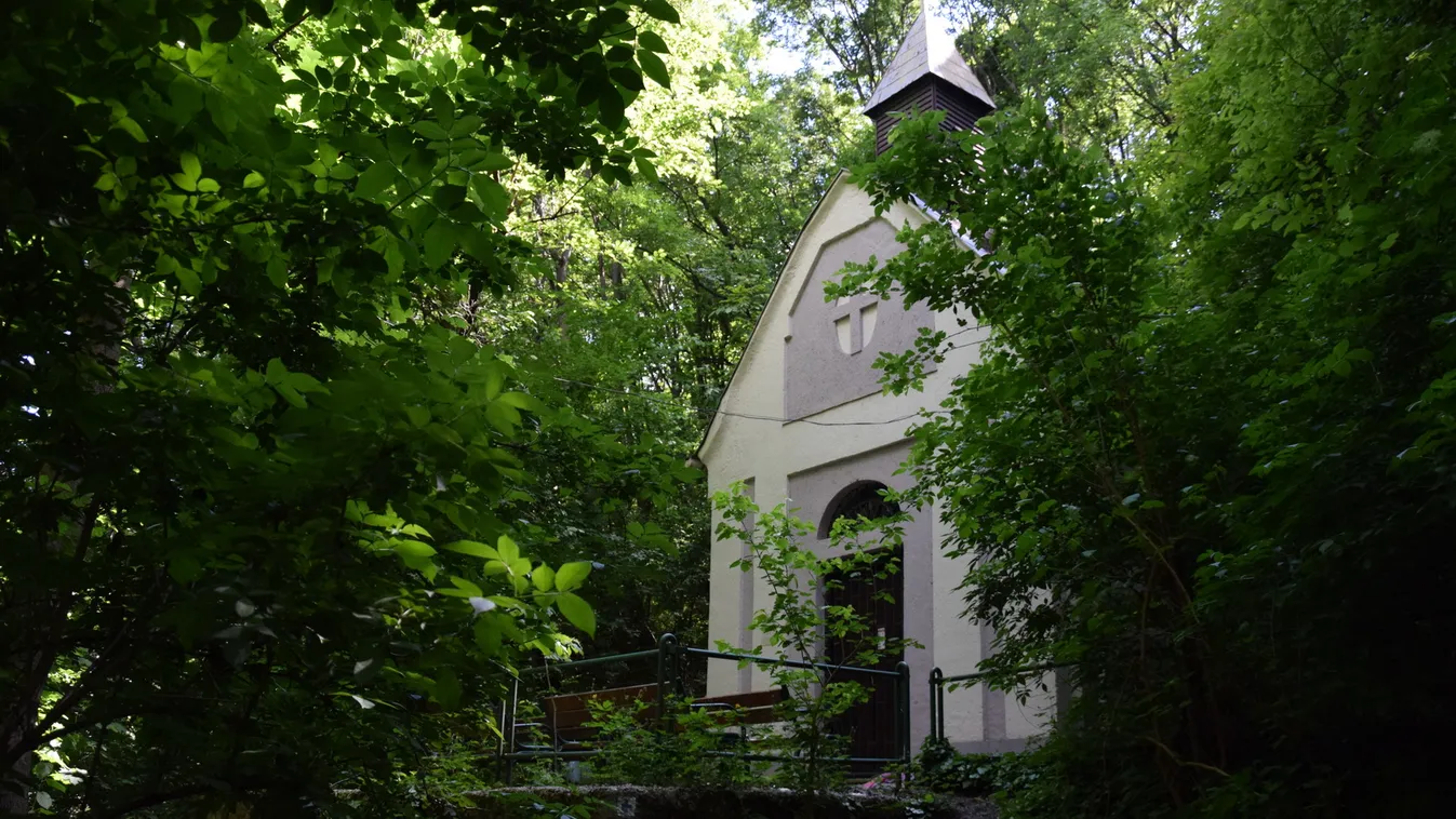 Források nyomában, ligetes parkon át vezet Óbuda új tanösvénye