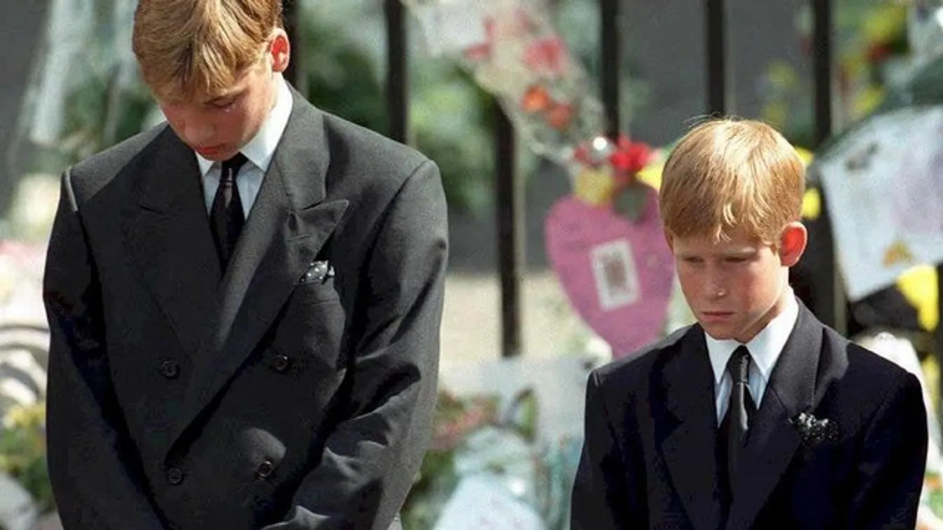 Harry herceg nem volt hajlandó elfogadni, hogy meghalt az anyja: mindenáron látni akarta Diana holttestét