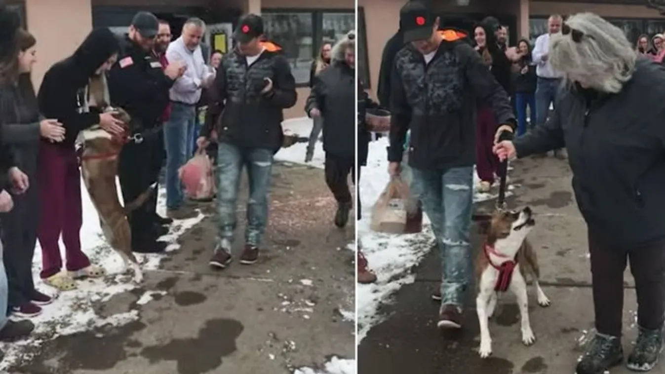 Cuki pillanat: ennyire örült a menhelyi kutyus, hogy 500 nap után gazdára talált - videó