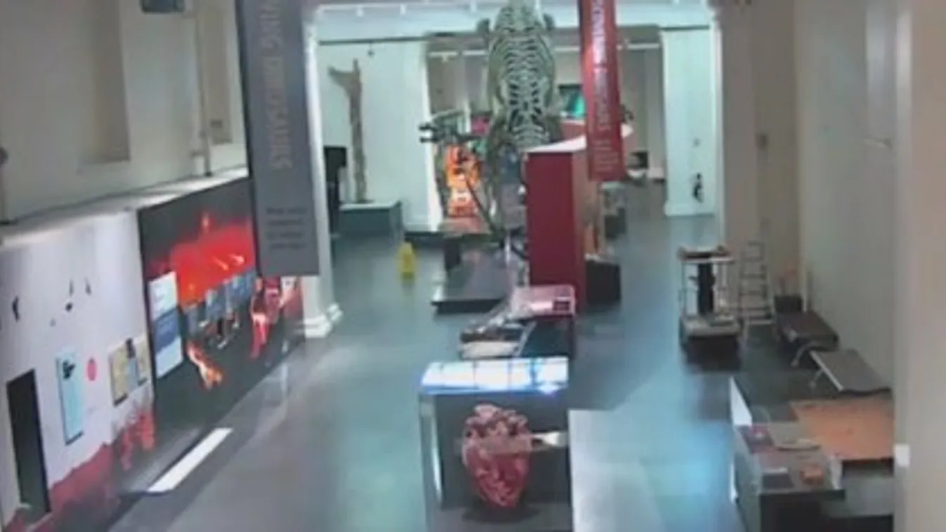 Betört múzeumba a fiatal, csak hogy dinoszaurusszal szelfizhessen – videó