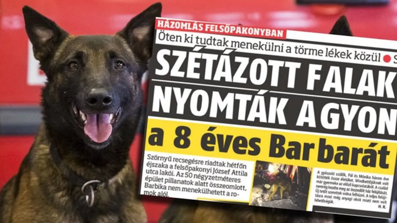 Gyermekhalál Felsőpakonyban: Karma kutya kereste a romok alatt Barbit