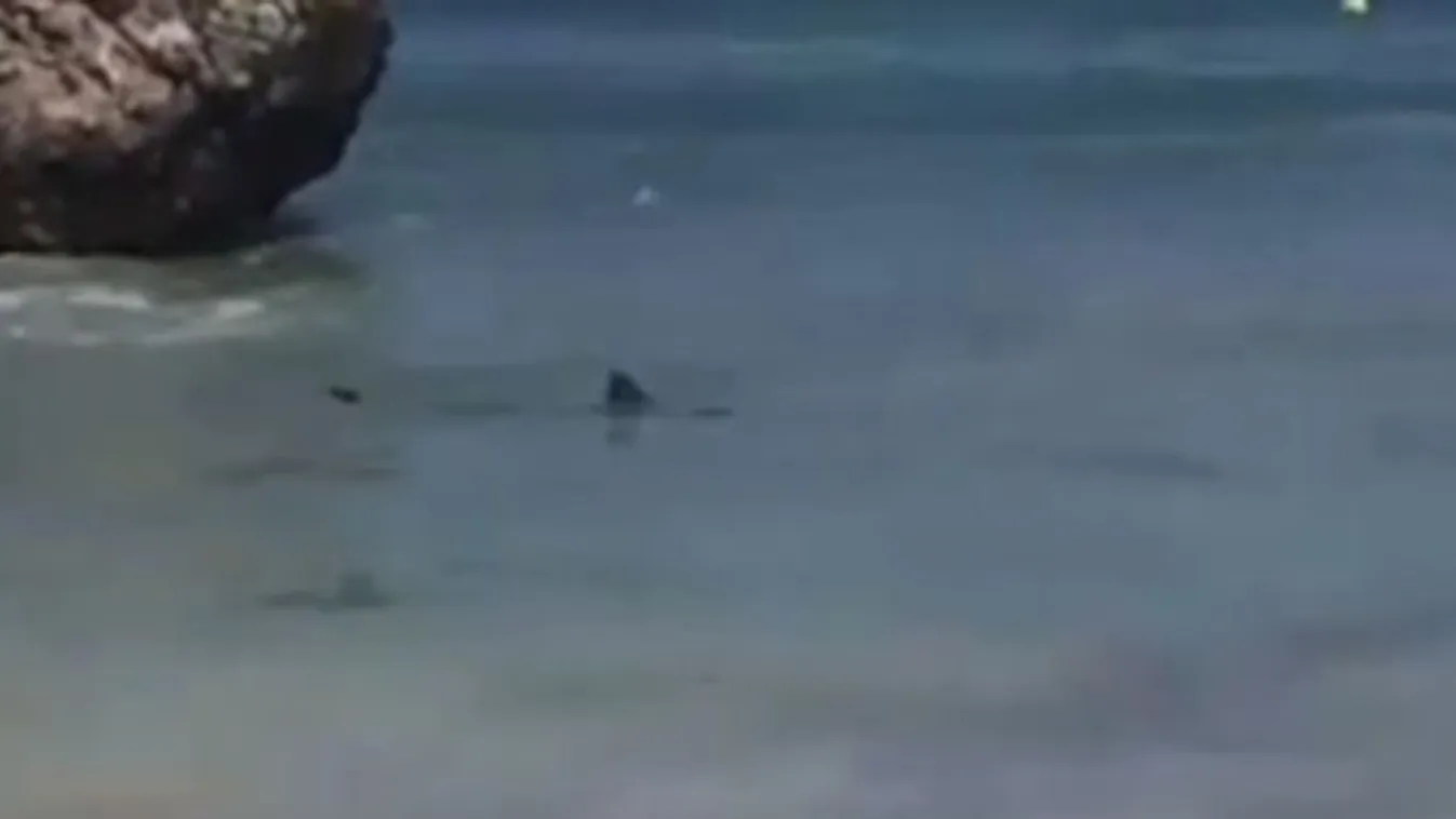 Játékos cápák üldözték el a strandolókat a tengerpartról – videó