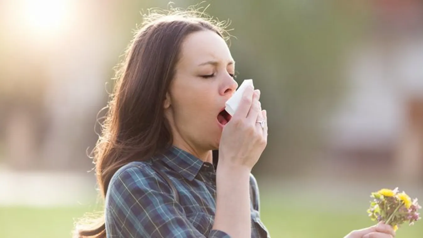 Allergiásak lehetünk a klímaváltozástól
