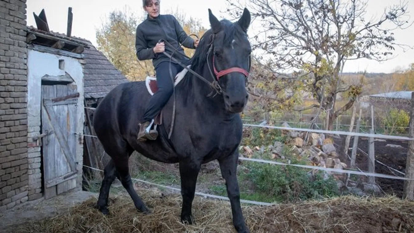 Lova mentette meg a tolnai családanya életét
