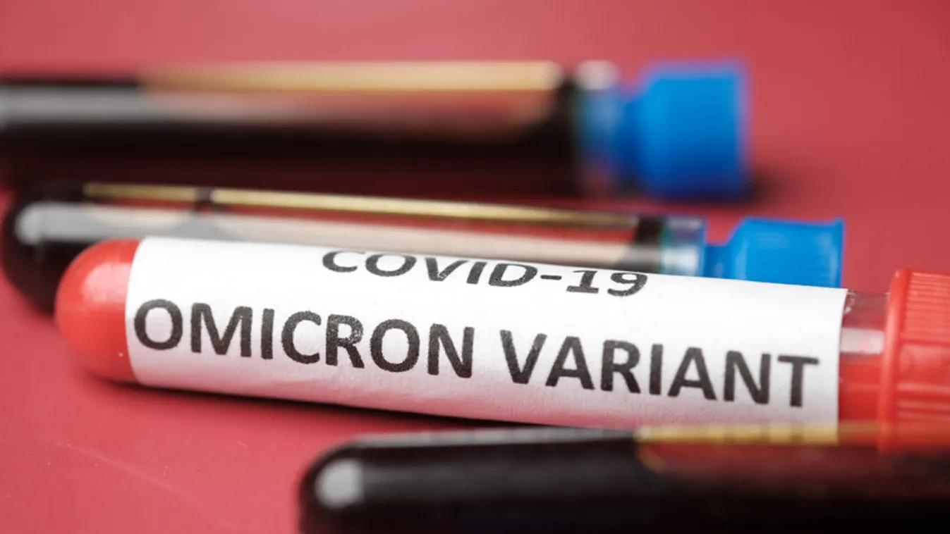 Az Omicron újrafertőződési kockázata több mint ötször magasabb, mint a Deltáé