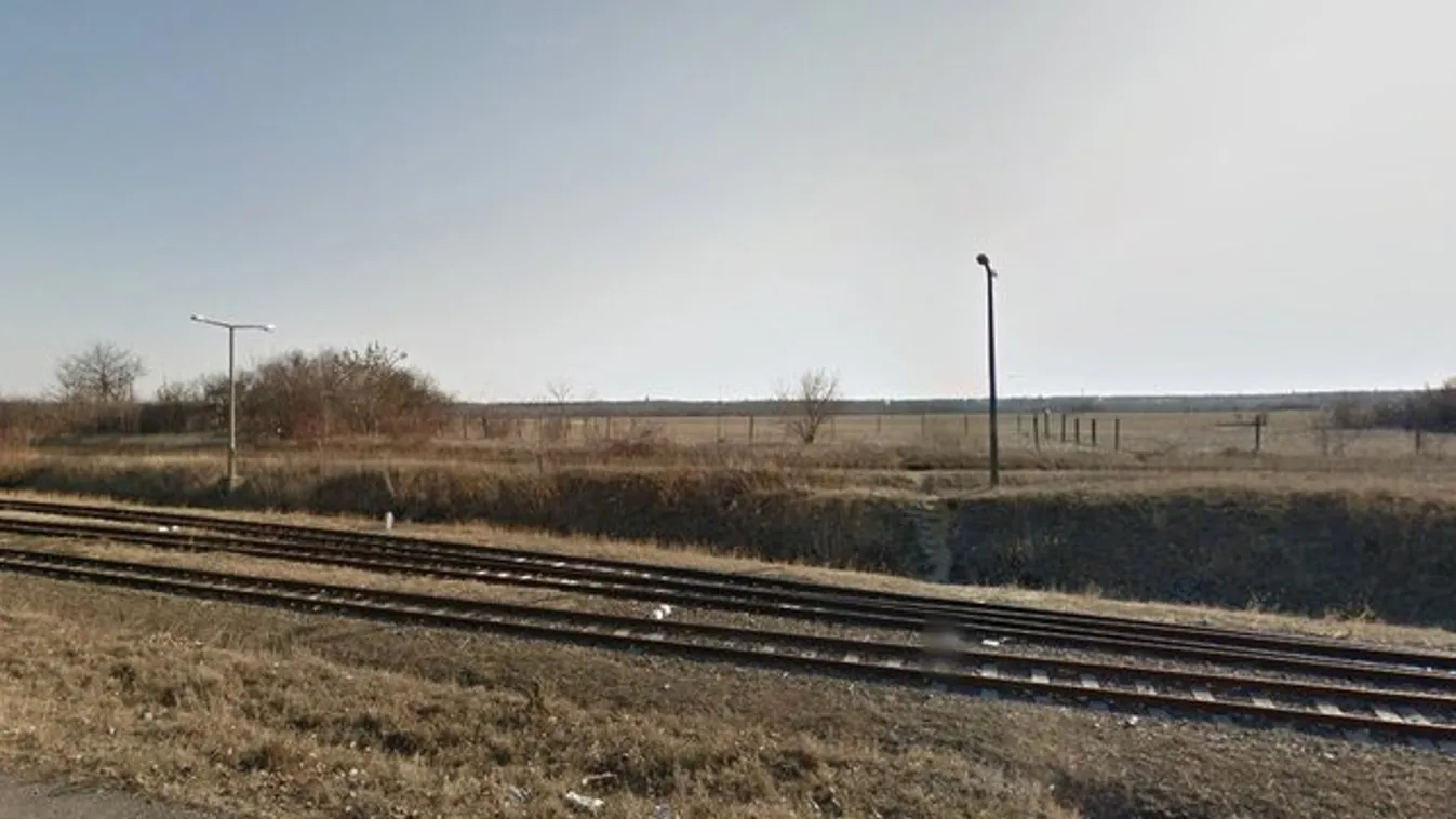 Olcsó volt kutyát ölni