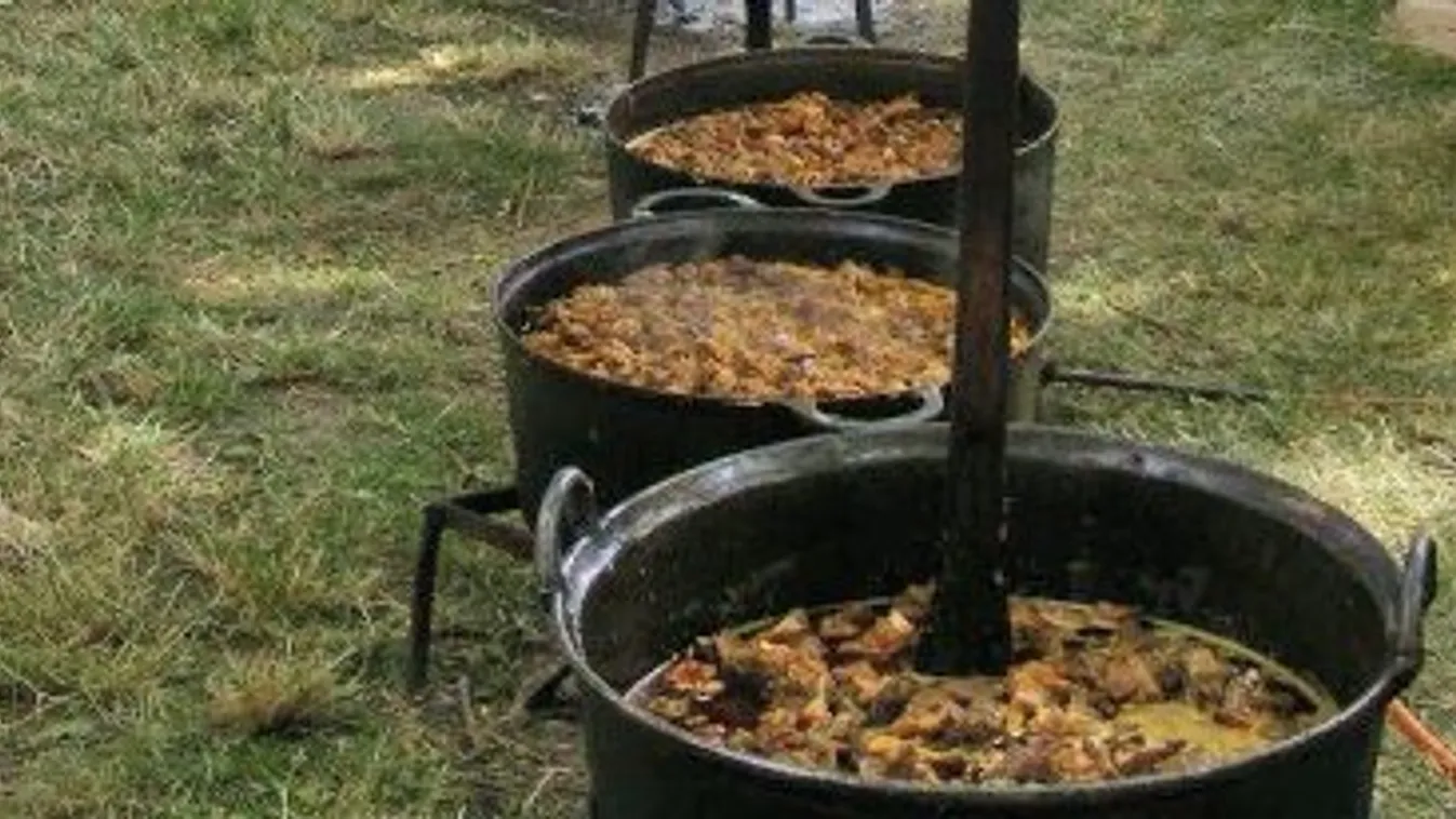 Birkapörkölt fesztivál kezdődik Karcagon