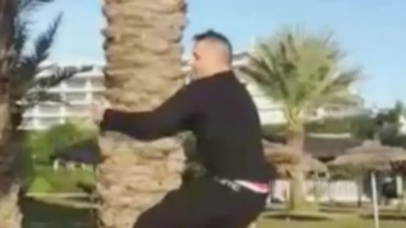 Így mászik pálmafát José Armando, alias Gáspár Győző