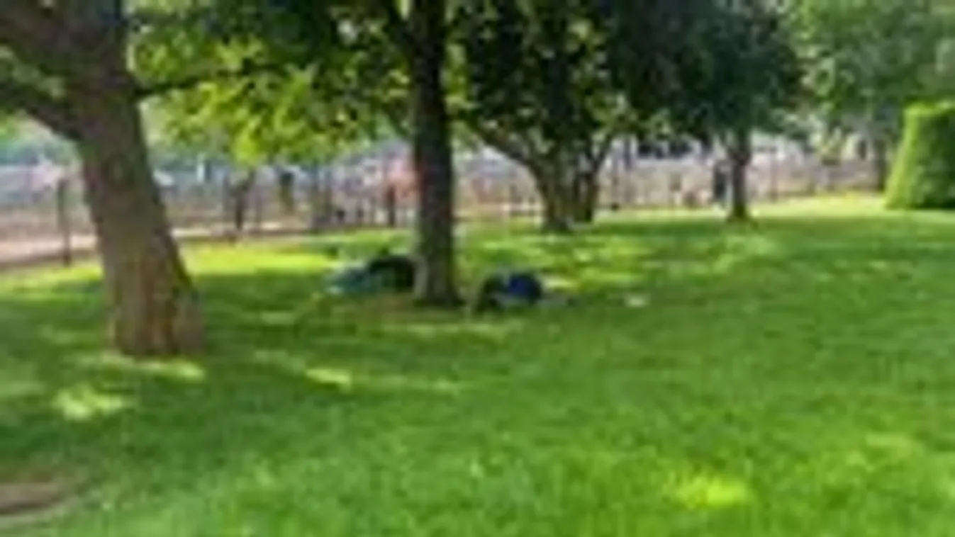 Budapest belvárosát ellepték az öntudatlan zombik, egyre többen vannak – fotó