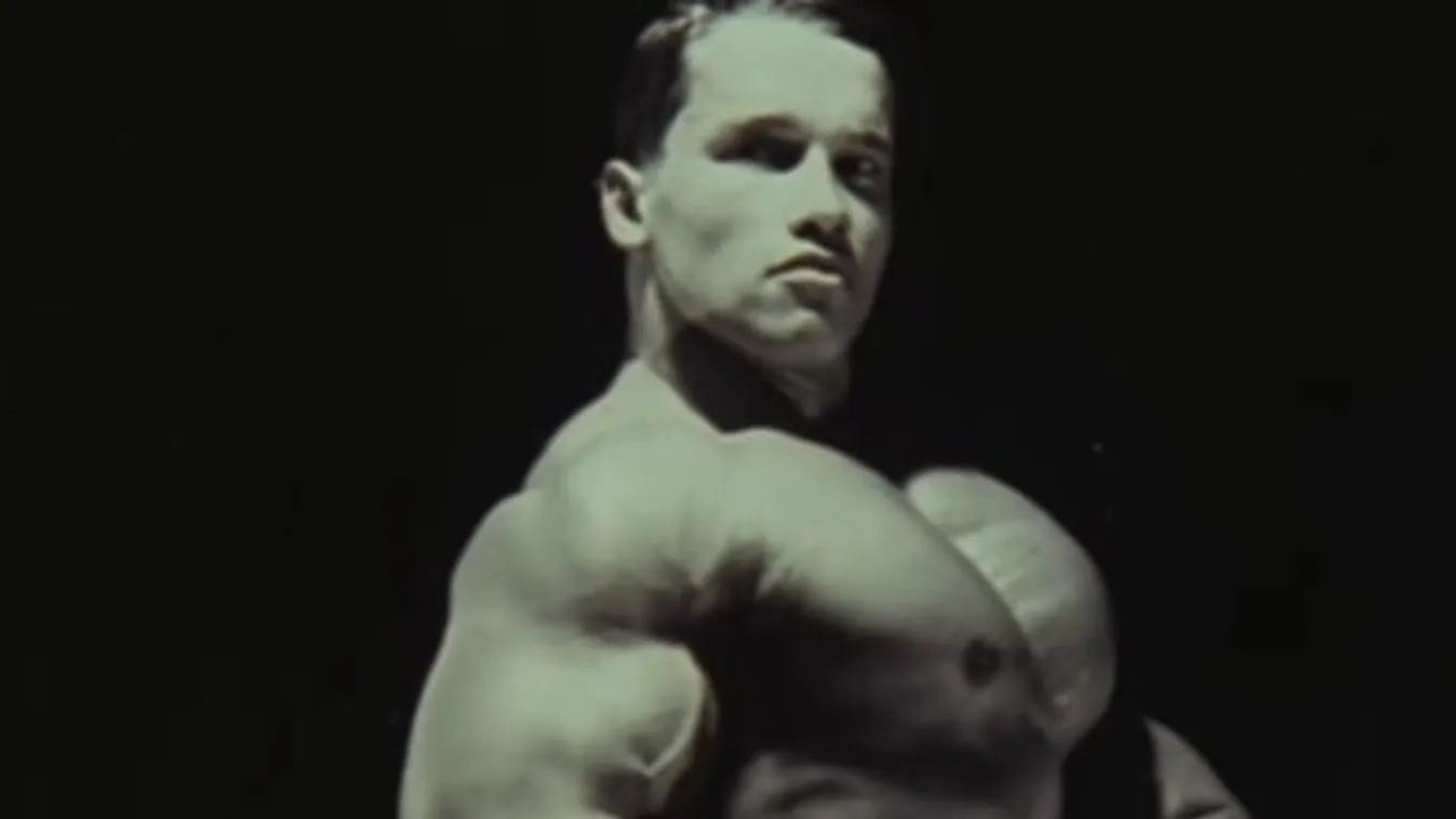 Ezt látnia és hallania kell! Rapszám készült Arnold Schwarzeneggerről, és ő is énekel benne! - videóval