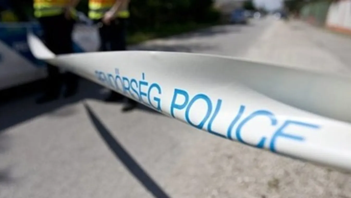 Két liter pálinkáért rúgtak halálra egy móri nyugdíjast a részeg tinik