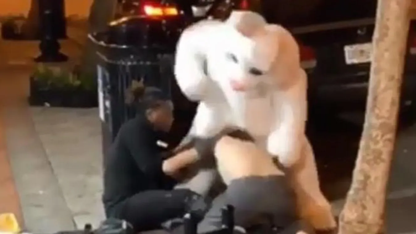 Nyílt utcán verekedett a hős húsvéti nyuszi – videó