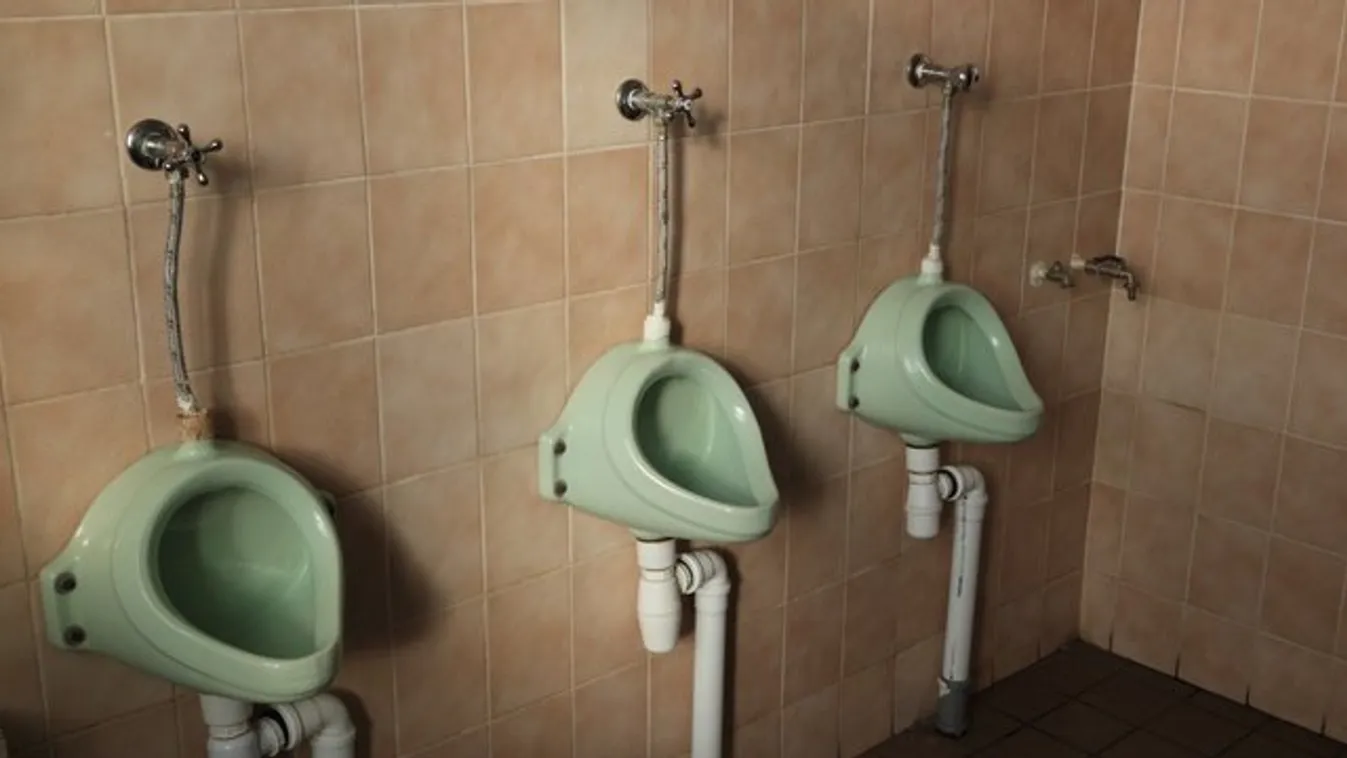 Vigyázzon, hová nyúl: hatszor annyi van egy férfi WC ajtaján, mint egy nőin