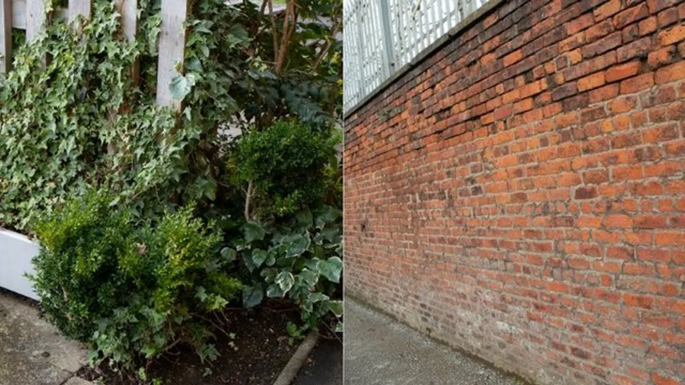 Halálos késelések: Bokrokban, téglák között rejtegetik a szúrófegyvereket a bűnelkövetők Nagy-Britanniában