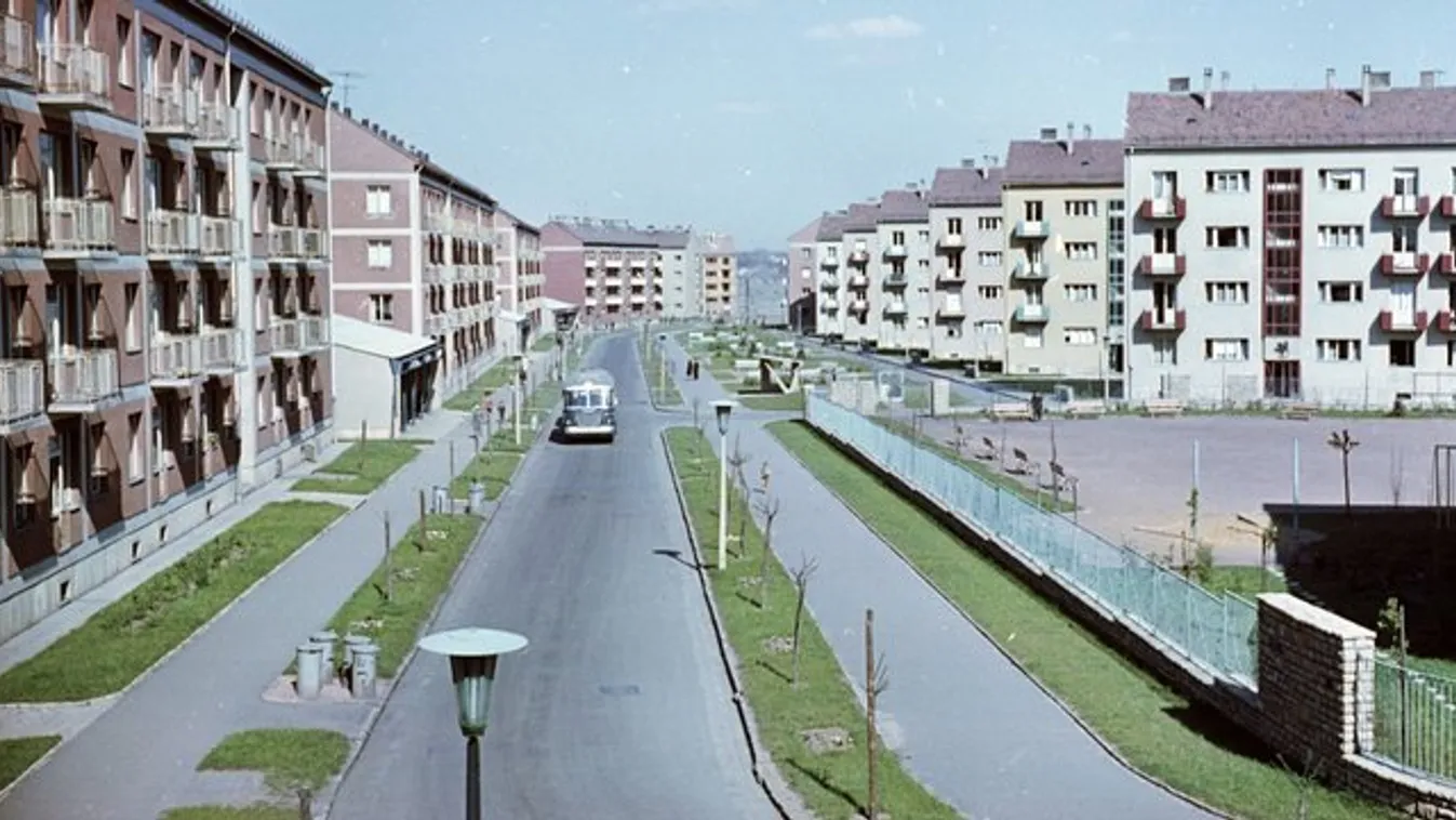 Halhatatlanná vált a pécsiek táskás nénije