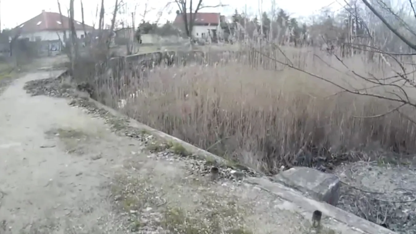 Az enyészeté lett a cinkotai strand – videó