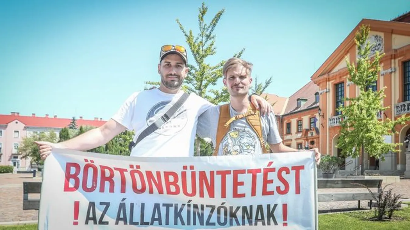 Csincsillákért harcol Puskás Peti