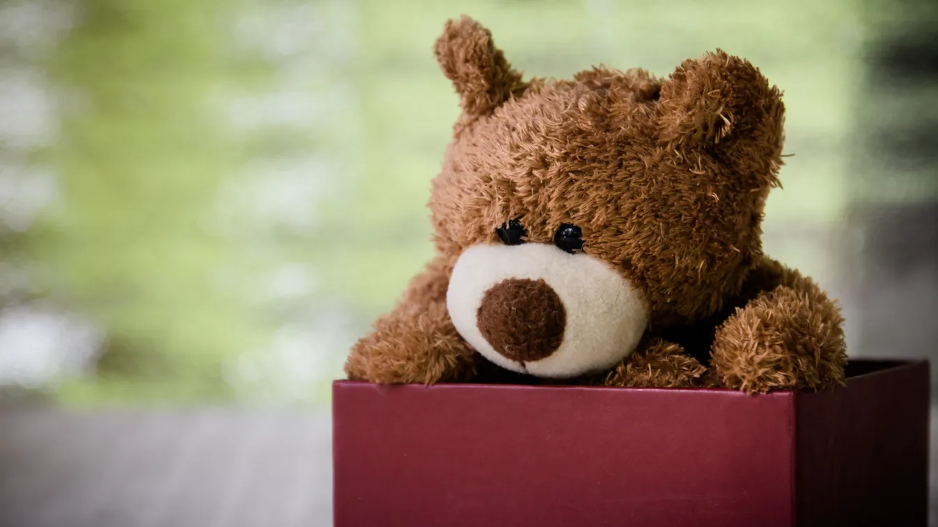 Teddy,Bear,In,Box,,still,Life,Art,Photography