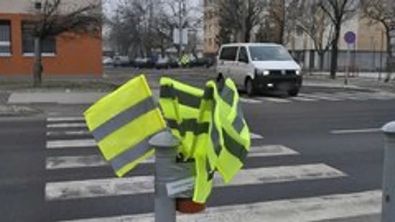 Országos mozgalom lett a gödöllői zászlós zebrákból
