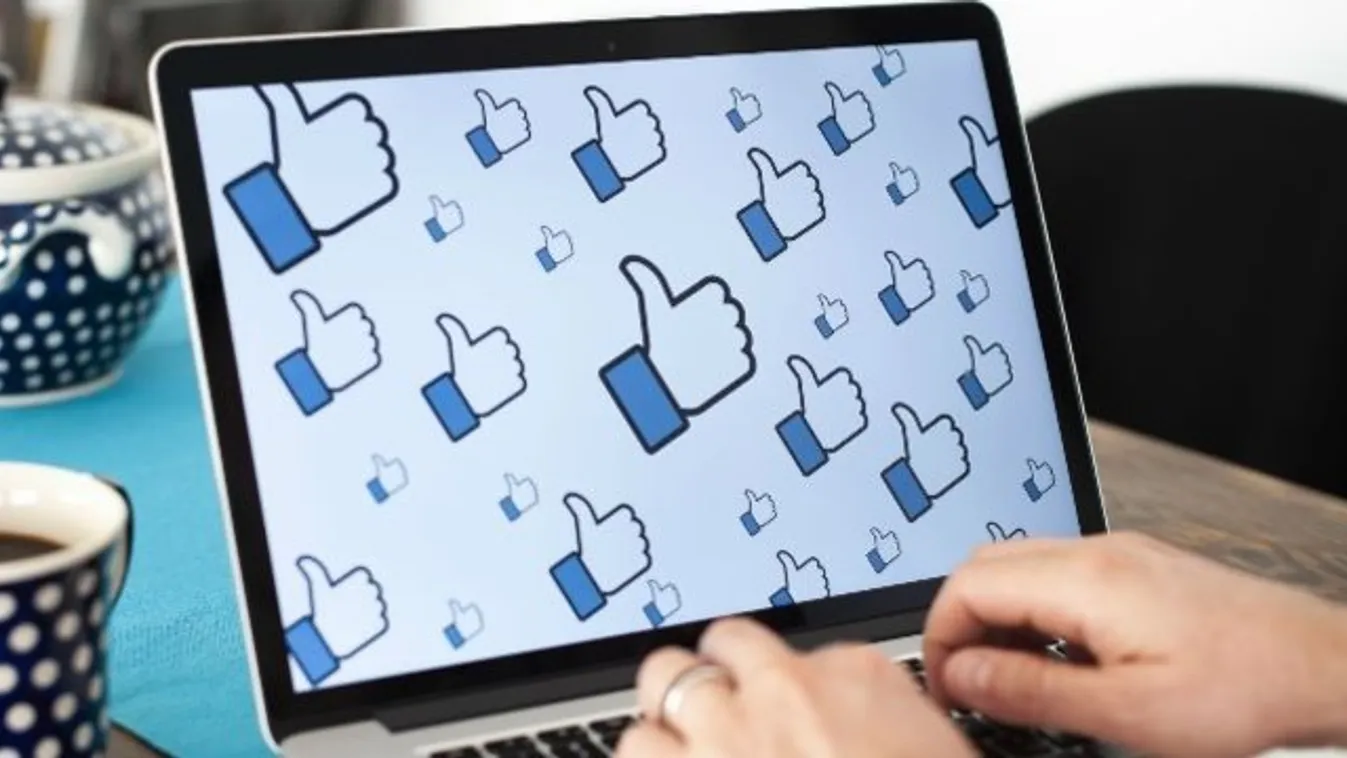 Egy Facebook-bejegyzés miatt ütötte és tépte egy fiatal nő a másikat