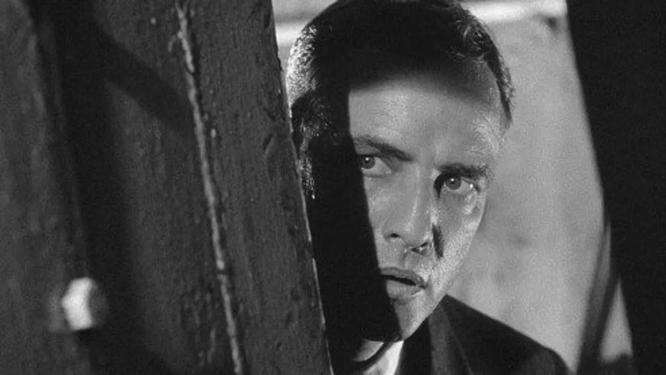 Féktelen orgiák, vad vágyak: ismét eladó Marlon Brando sokat látott otthona - Fotók
