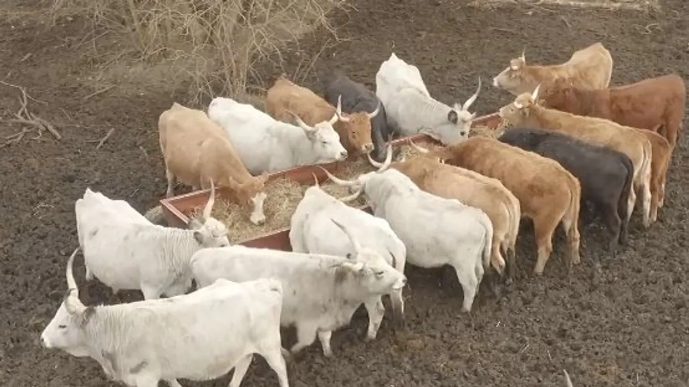 Online tájékoztatják a gazdákat az új lehetőségekről – videó