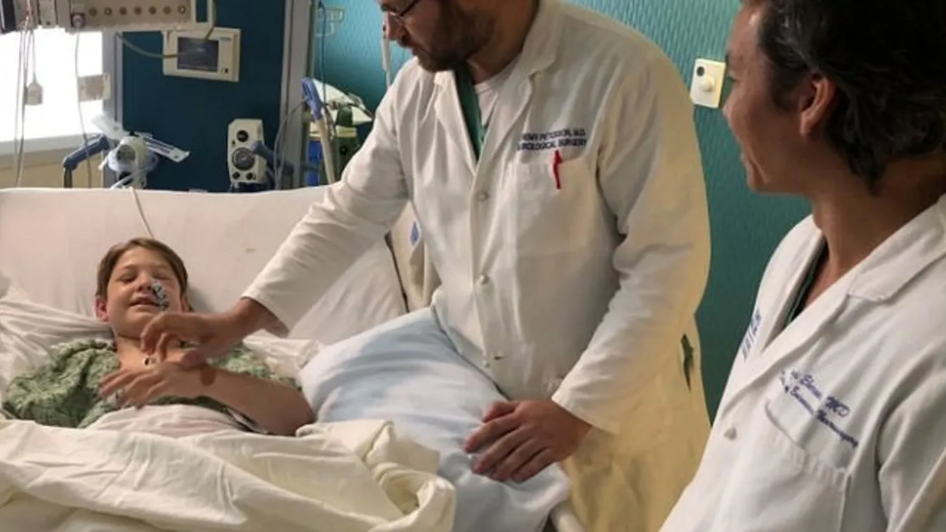 Átszúrta a koponyáját egy fémnyárs, miután darazsak támadtak rá