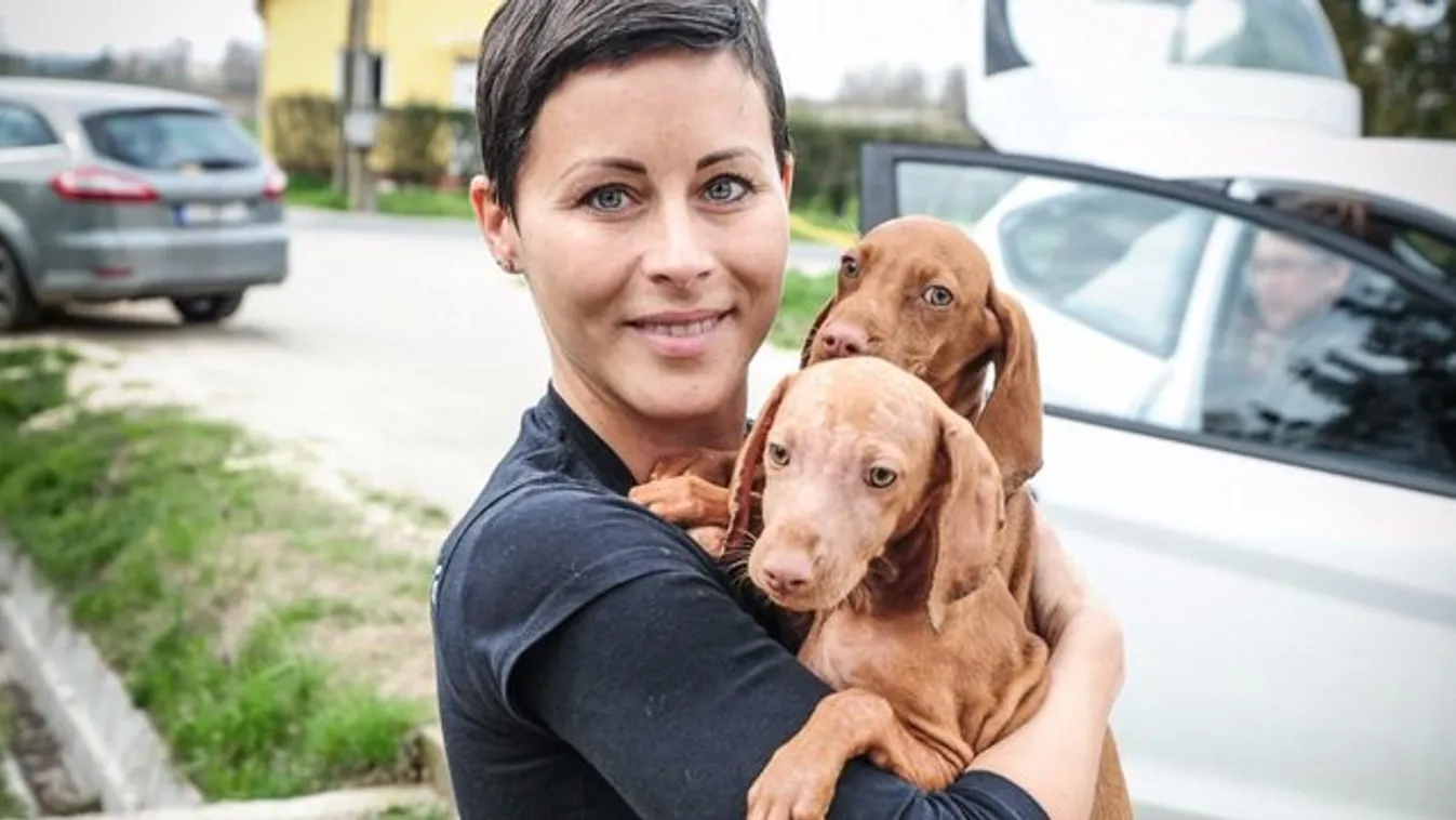 Tornóczky Anita tacskója nevében ír könyvet
