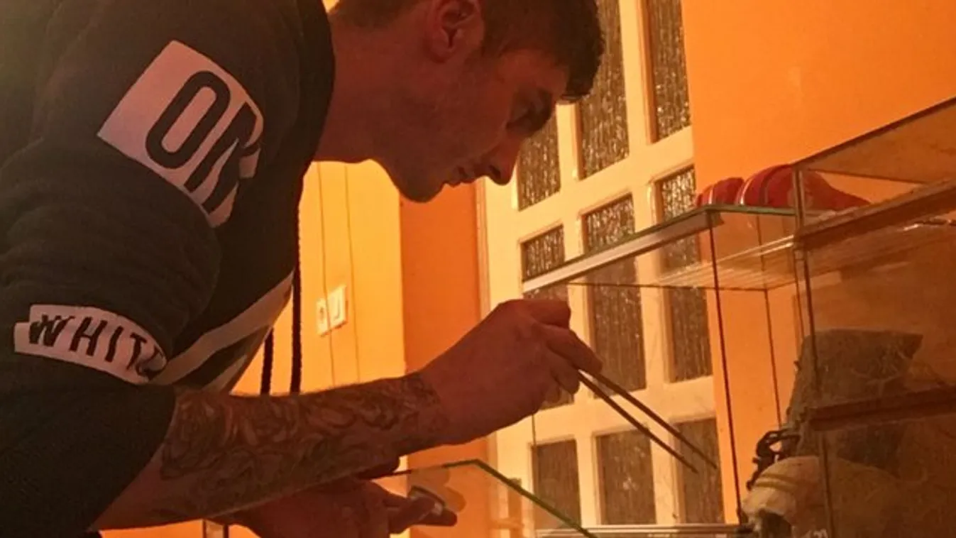 Madárpókokkal él Dávid,  hogy legyőzze a fóbiáját