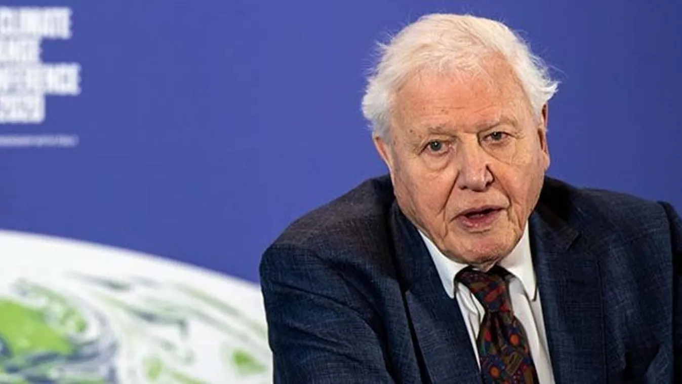 David Attenborough is beoltatta magát koronavírus ellen