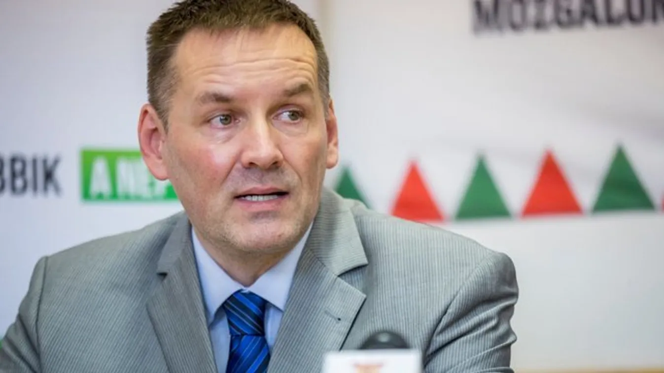 Volner: a Jobbik tévúton jár­