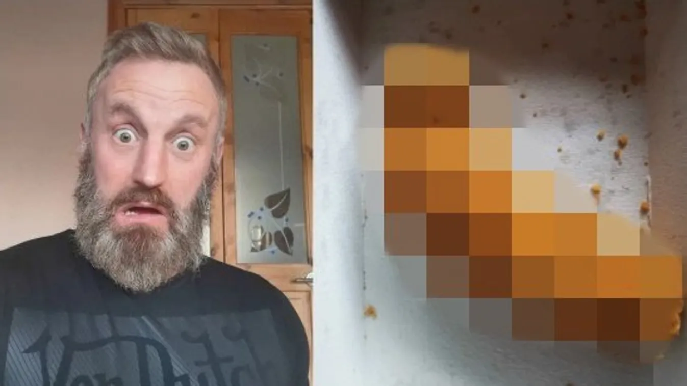 Horror: Hatalmas hímvessző került elő egy McDonald's-os rendelésből – fotó