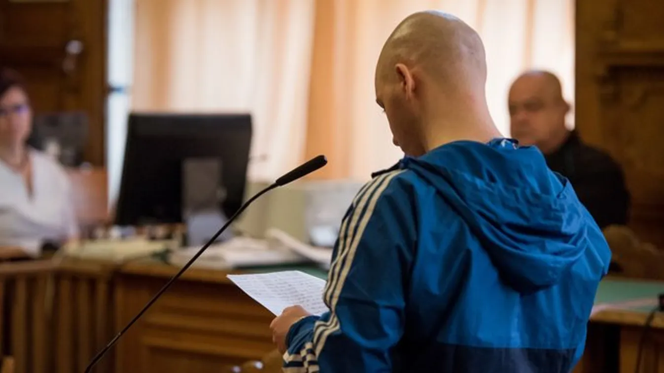 Népligeti gyilkos: Bosszúból ölt és erőszakolt nőket