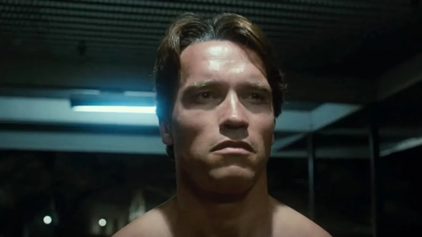 Napokon belül Budapestre érkezik Schwarzenegger