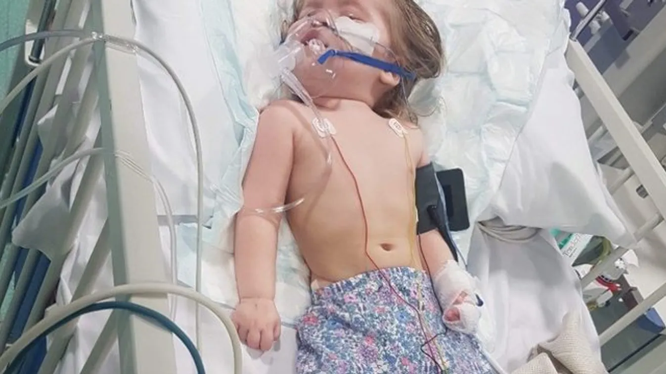 Egy éve nőtt a tumor a dokik szeme előtt - már csak hetei vannak hátra a babának