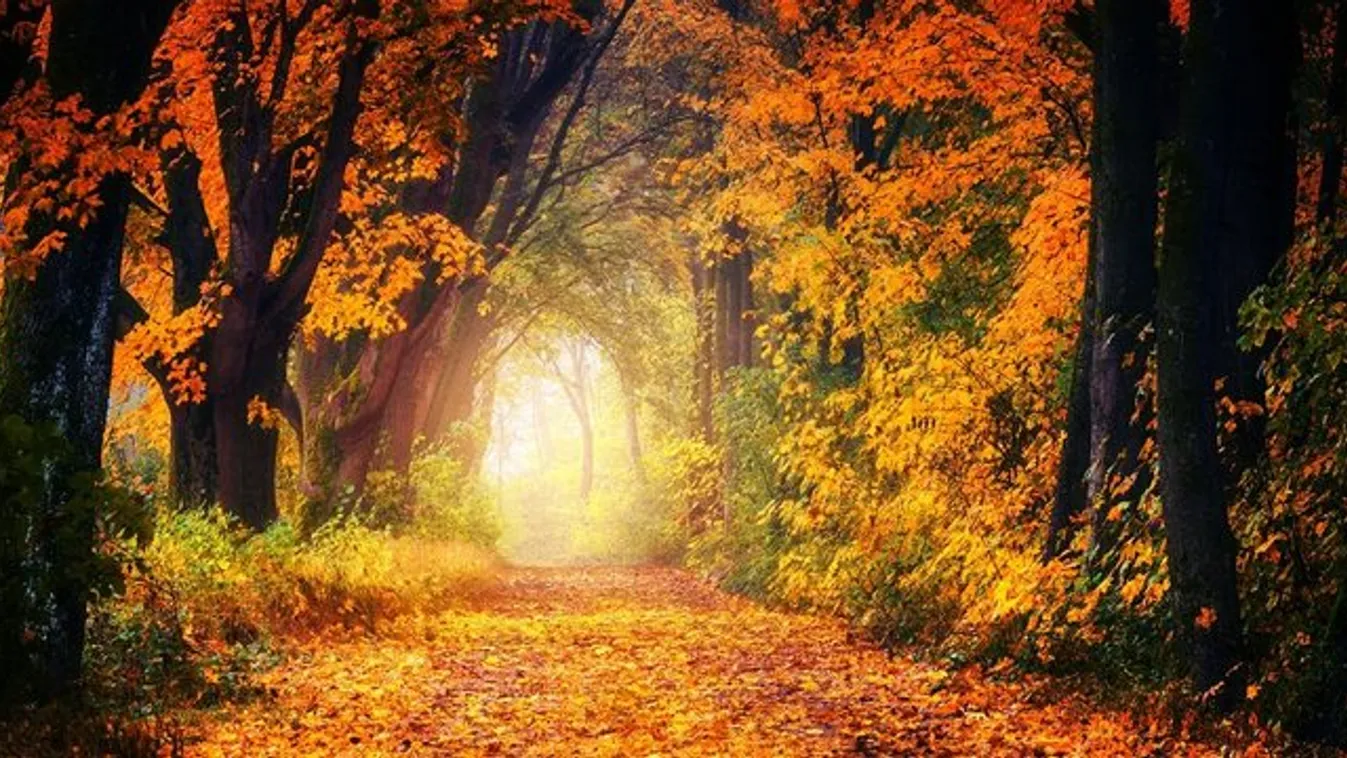 Folytatódik a húsz fokos november