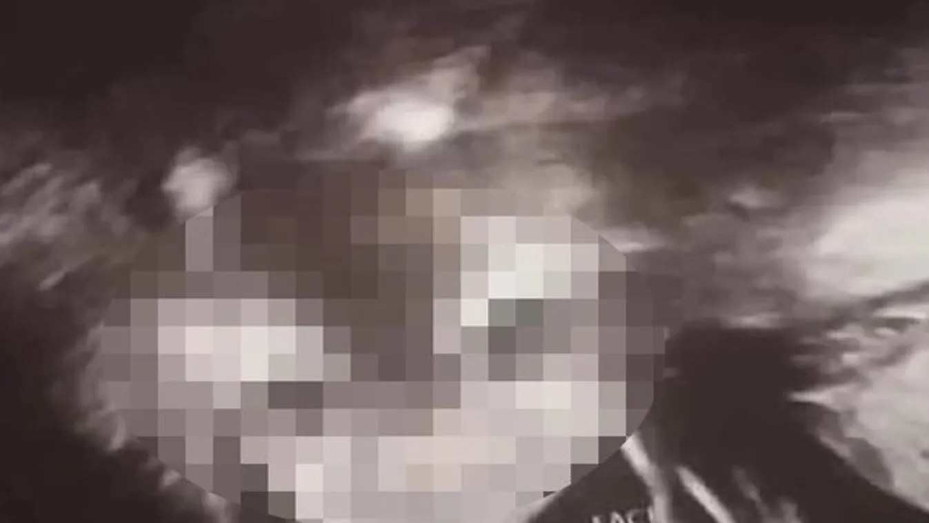 Sokkot kapott a kismama: vérfagyasztó démoni lény tűnt fel az ultrahangos felvételen