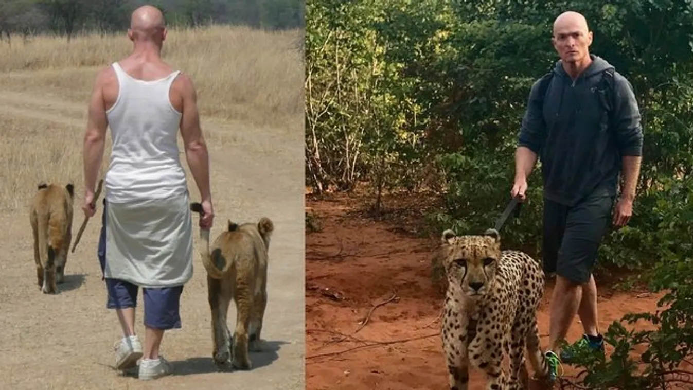 Nagymacskák nyomában barangol a világjáró Balázs