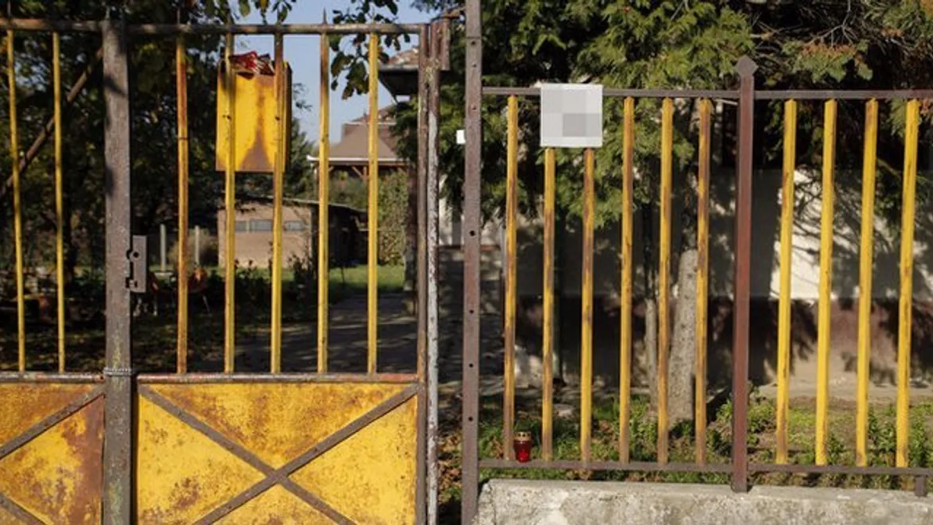Érd: elkapták idős párt kegyetlenül meggyilkoló nőt