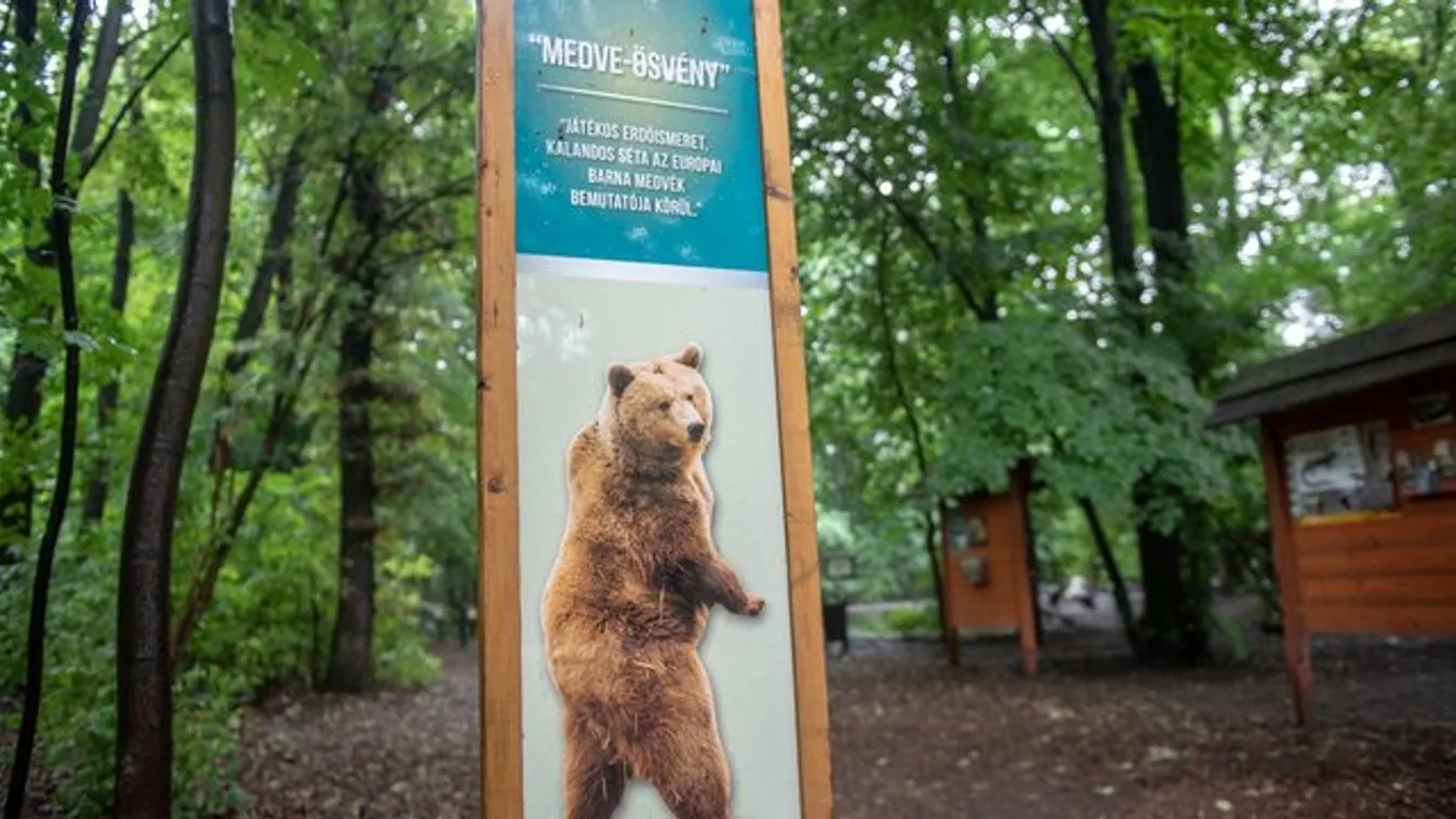 Vackor medve valójában nőstény, az elfogása óta pedig nem túl boldog – fotók