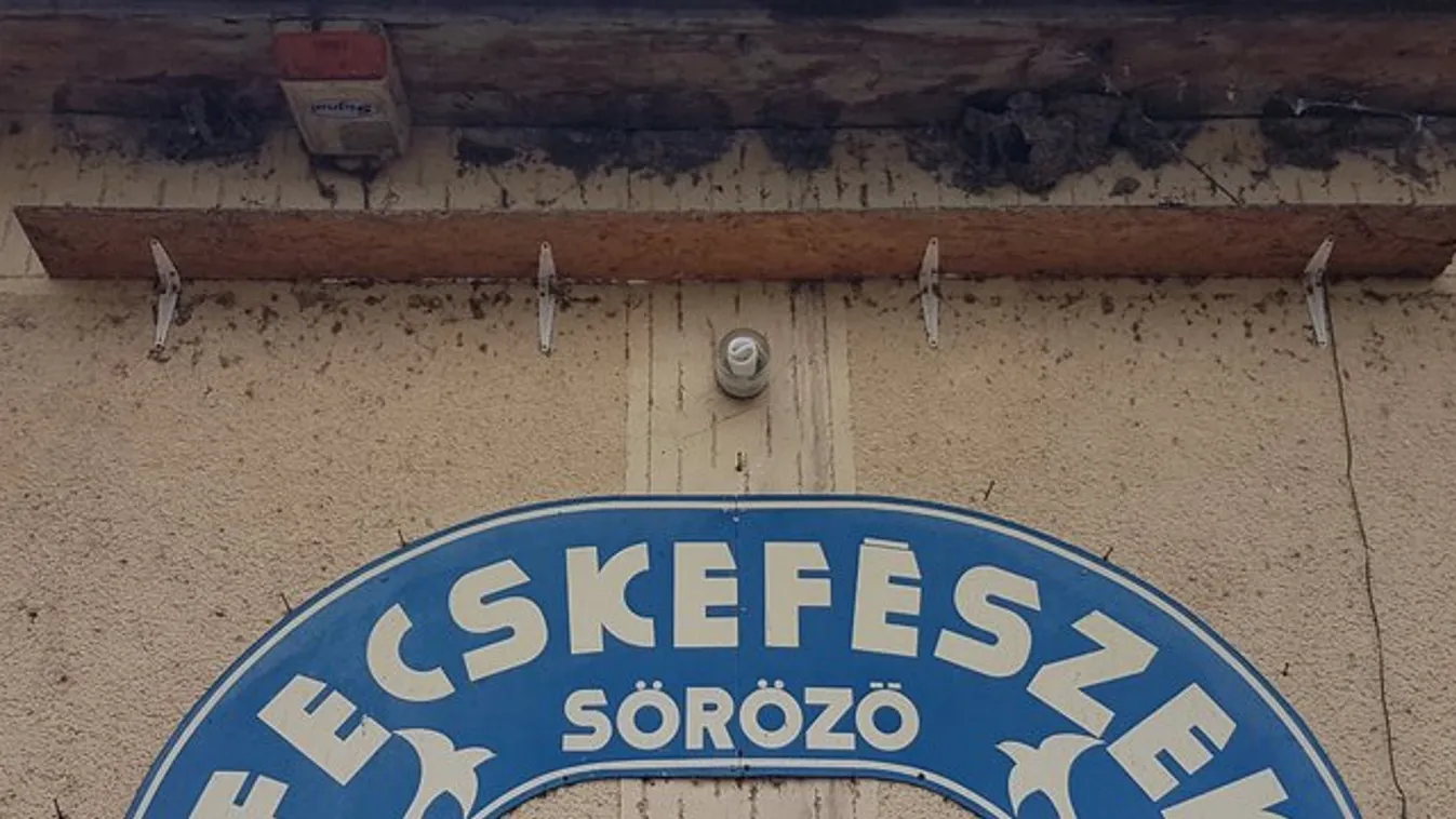 Fecskékkel lehet sörözni Tömörkényben