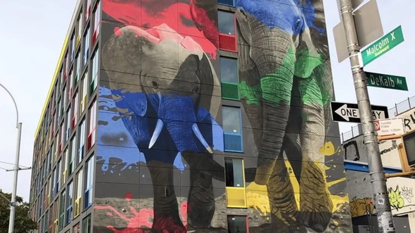 Fotók: Íme a híres budapesti graffitis lenyűgöző alkotásai