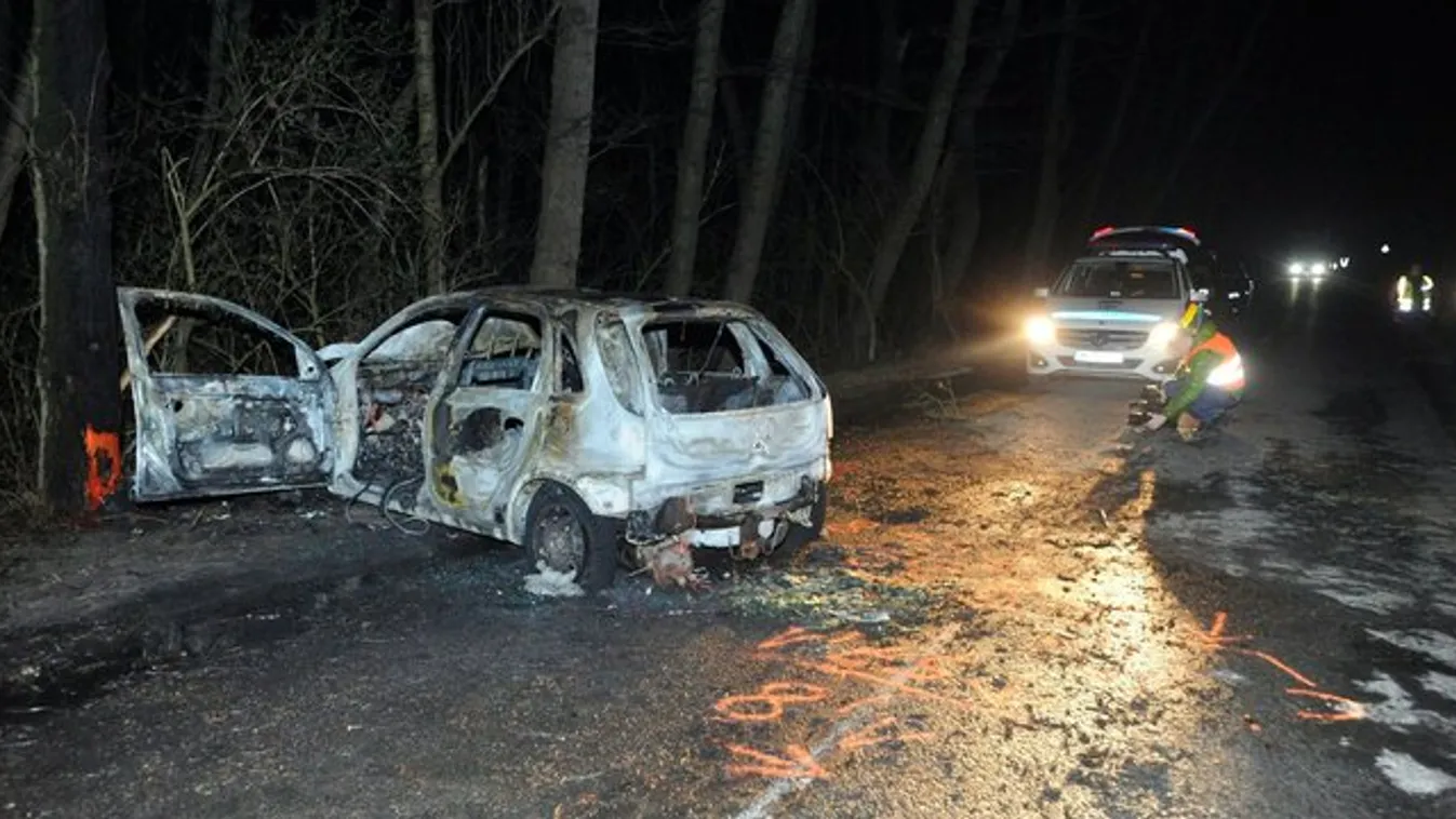 Tragikus baleset Ócsán: fának csapódott, majd halálra égett egy sofőr – fotók